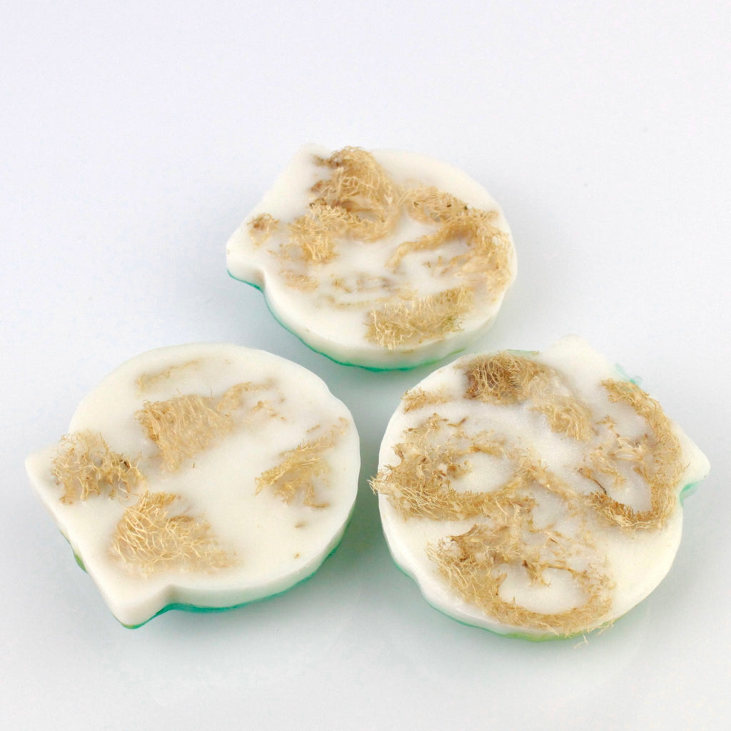 Green Waves Sea Shell Loofah Soap - fizzy soaps